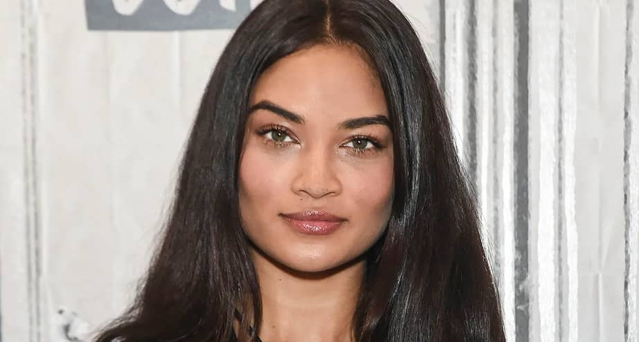 Shanina Shaik